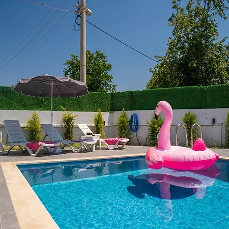 Kavak Holland Fethiye