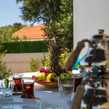 Kavak Holland Vakantiehuis *